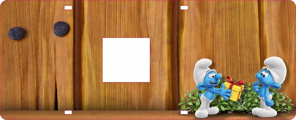 Sticker shield card disp R Smu[nl]