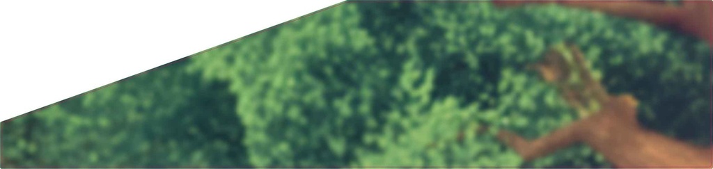 Sticker side glass R Smurfs