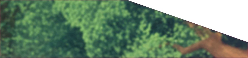 Sticker side glass L Smurfs