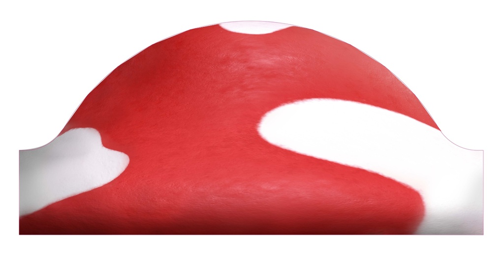 Plexi top side mushroom