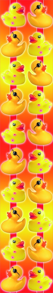 Decal corner Plucky Ducky