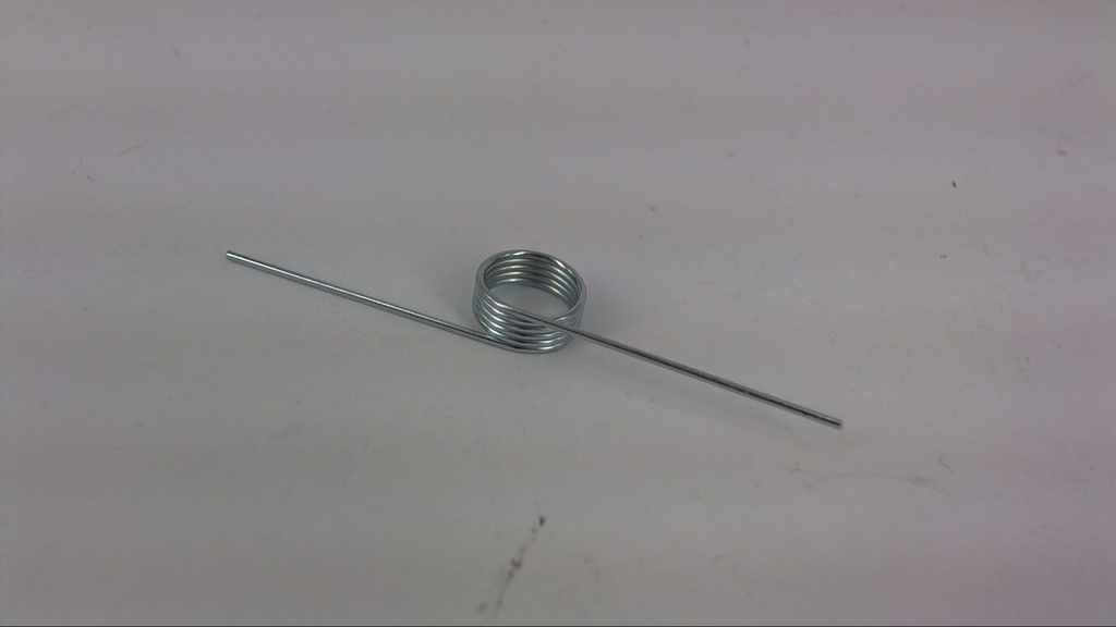 Torsion spring