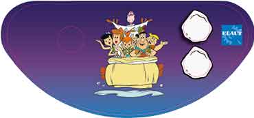 [4249-00347] Decal 1 control panel Flin