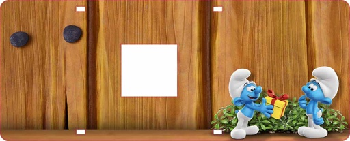 [4264-00196] Sticker shield card disp R Smu[nl]