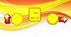 [4264-00090] Decal control XL button no bonus