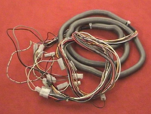 [9015-00942] Wiring intelli wals/gantry Big One