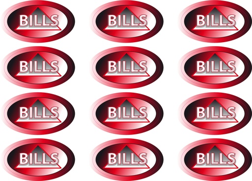 [4277-00509] Decal dome bill dlux