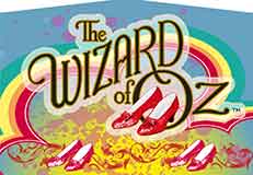 [4249-00074] Decal upper build 3-player WoZ